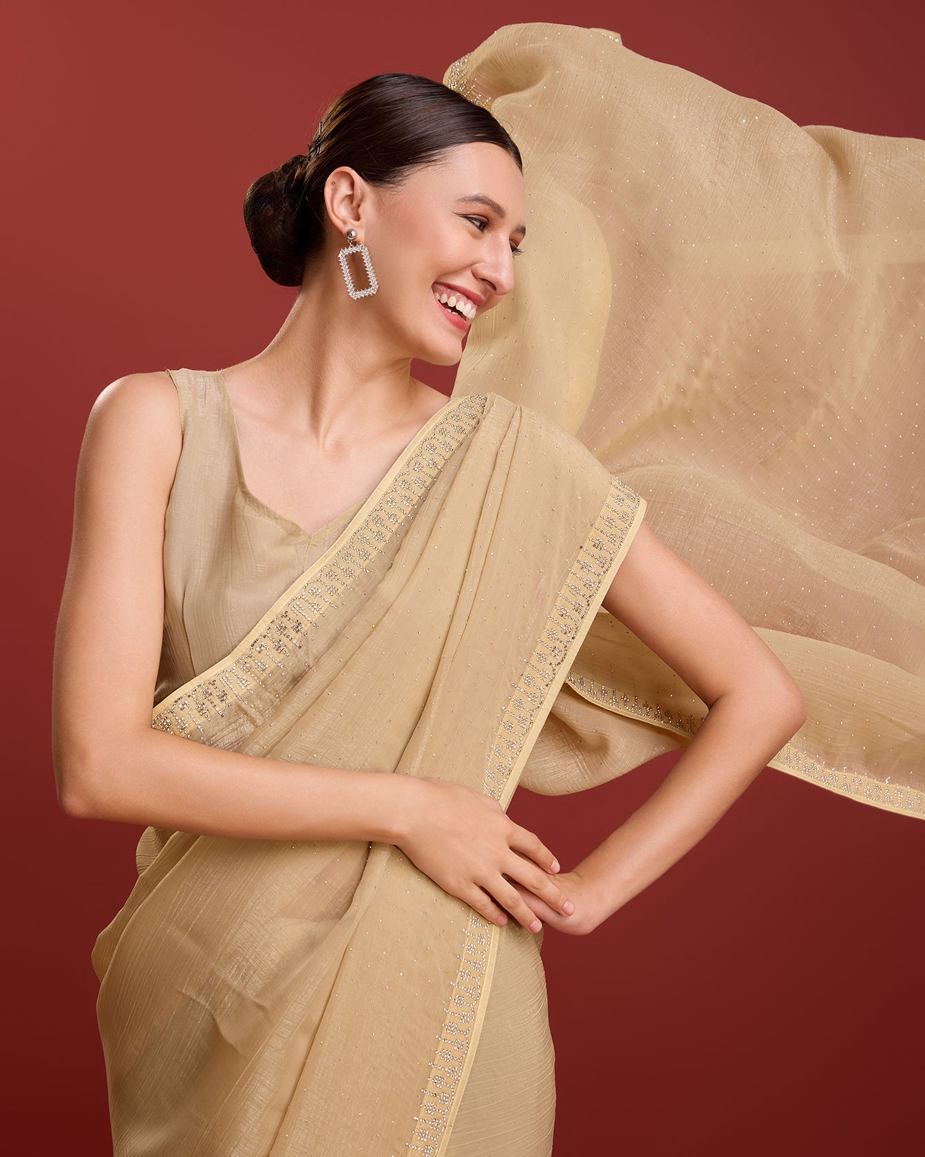 Chikoo Crush Organza Swarovski Festival Saree - Monjolika Fashion Chikoo Crush Organza Swarovski Festival Saree - Monjolika Fashion