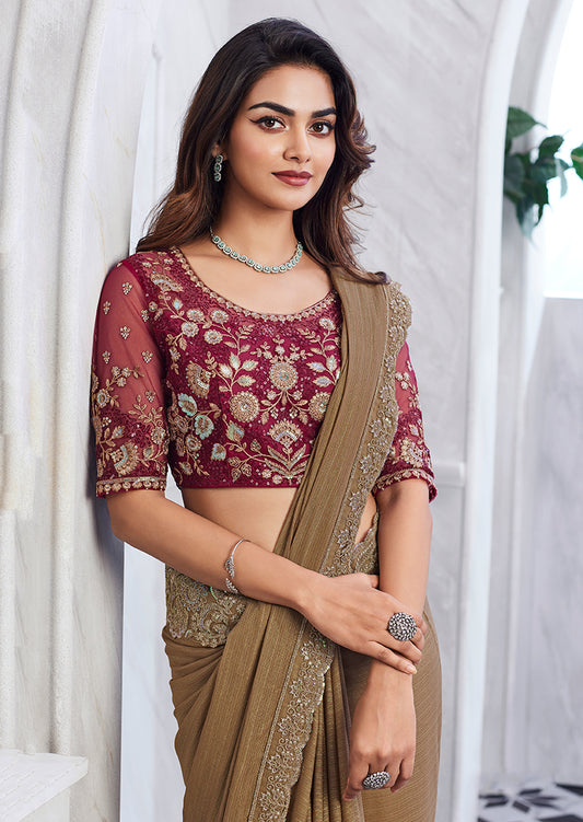 Chikoo Shimmer Silk Embroidered Stone Work Saree