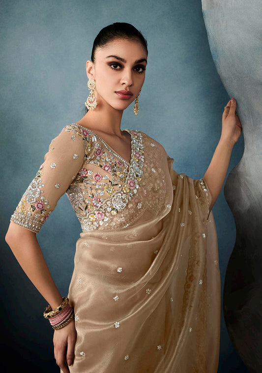 Dark Beige Tissue Silk Saree Featuring Intricate Sequins Work