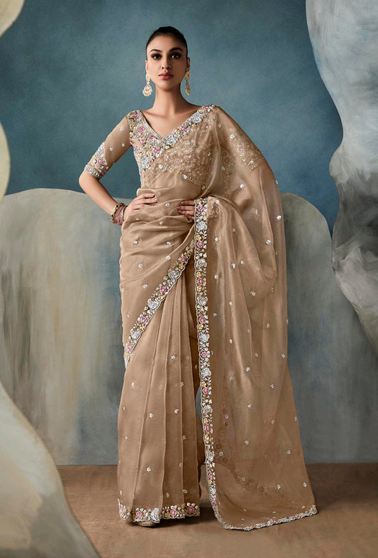 Dark Beige Tissue Silk Saree Featuring Intricate Sequins Work