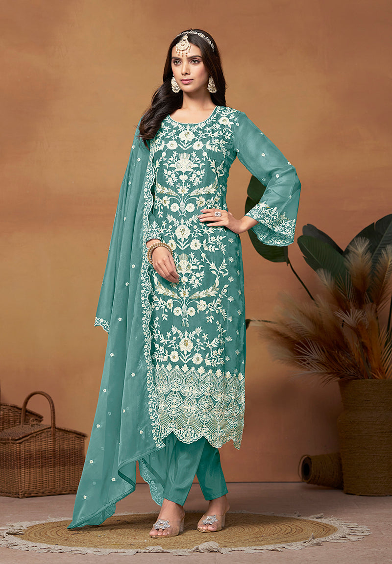 Light Blue Soft Organza Embroidered Straight Suit