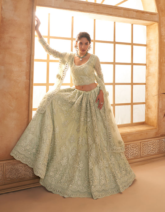 Light Pista Net Embroidered Designer Bridal Lehenga Choli