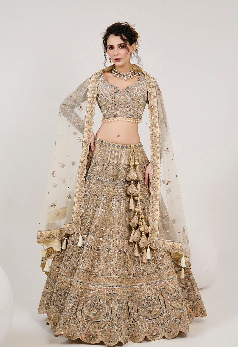 Beige Net Embroidered Readymade Lehenga Choli With Dupatta