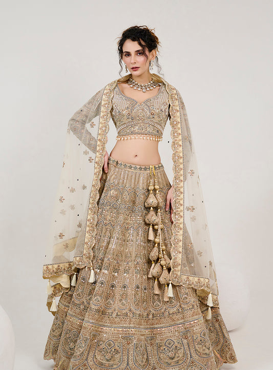 Beige Net Embroidered Readymade Lehenga Choli With Dupatta