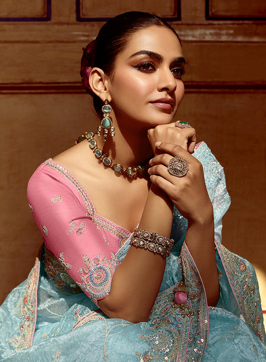 Sky Blue Tissue Organza Silk Embroidered Saree