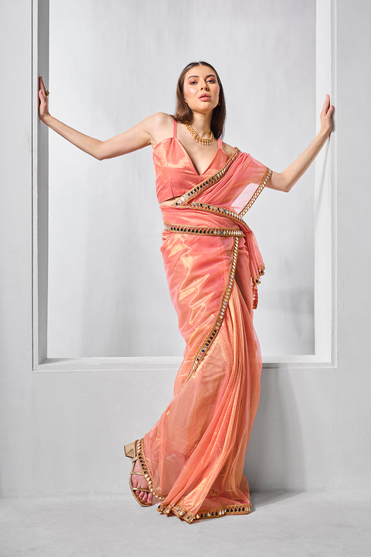 Peach Gold Tissue & Net Embellished Saree