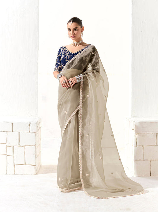 Gray Tissue Silk Saree Featuring Intricate Sequins Work