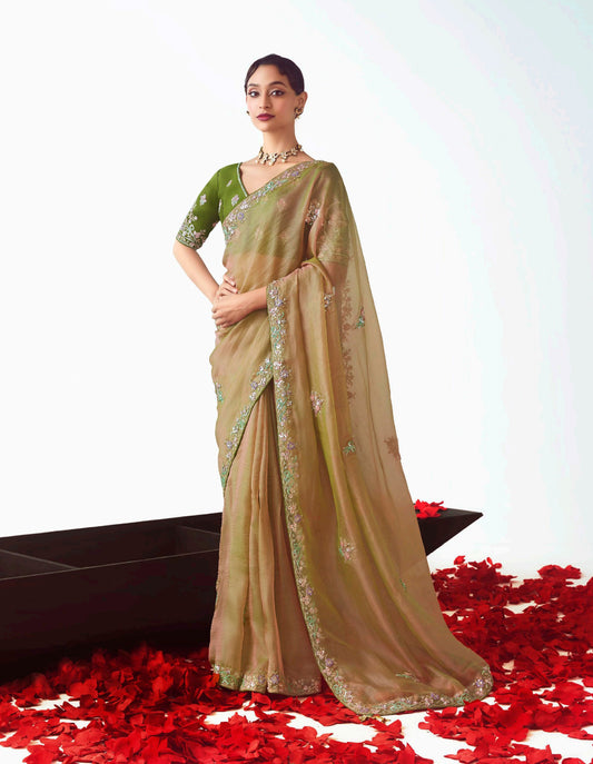 Beige Embroidered Cut Work Fancy Fabric Ceremonial Designer Saree